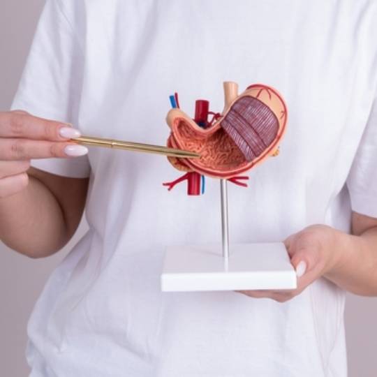 https://essemedicare.de/wp-content/uploads/2023/02/gastric_bypass_3_1.jpg